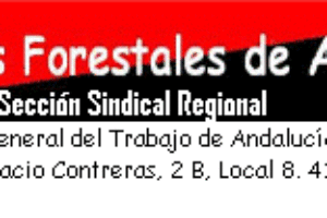 Convocatoria de Huelga para los bomberos forestales de Andalucía.