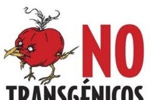 28 de agosto, Madrid : NO a los alimentos transgénicos