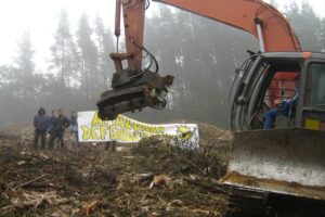 Defensa de los árboles en las obras del TAV en Galdakao