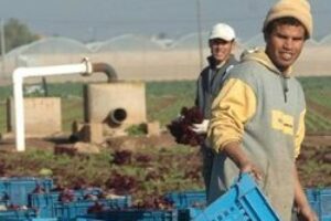 Marruecos : La muerte de trabajadxs agrícolas no puede quedar impune