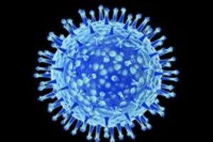 La extraña historia de la Gripe A
