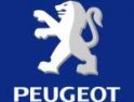 25 febrero Madrid : Concentración en Peugeot contra las horas extras