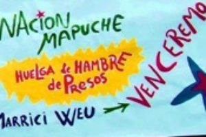 Presos Políticos Mapuche en huelga de hambre son torturados como en Guantánamo