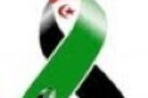 CGT condena la muerte de saharauis a manos de la dictadura de Mohamed VI