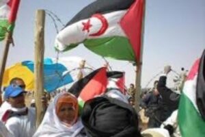 Julián Zubieta : «El Sáhara, la puerta de otro genocidio»