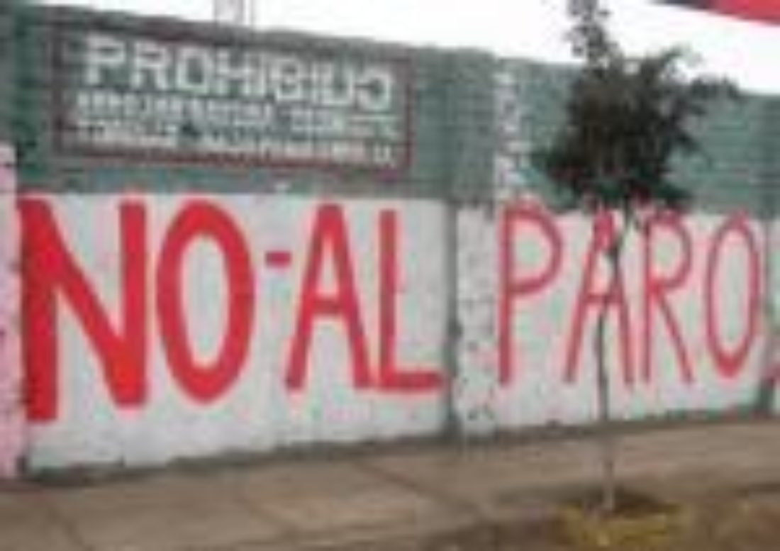 Concentración en Pamplona «No más desamPARO»