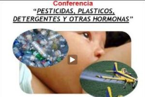 Nicolás Olea: «Pesticidas, plásticos, detergentes y otras hormonas»