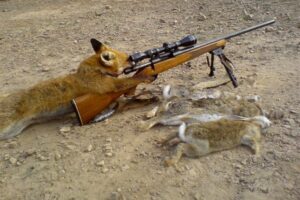 Julio Ortega: “Matando jabalíes y enterrando cazadores”