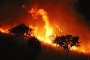 La imprevisión agrava la ola de incendios forestales