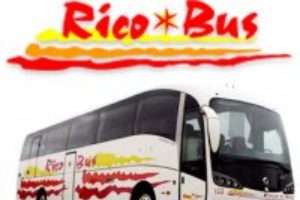 CGT constituye Sección Sindical en Autobuses Rico (Cádiz)