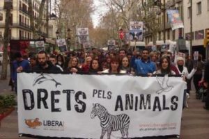 La víctimas que carecen de esa consideración (Día Internacional por los Derechos de los Animales)