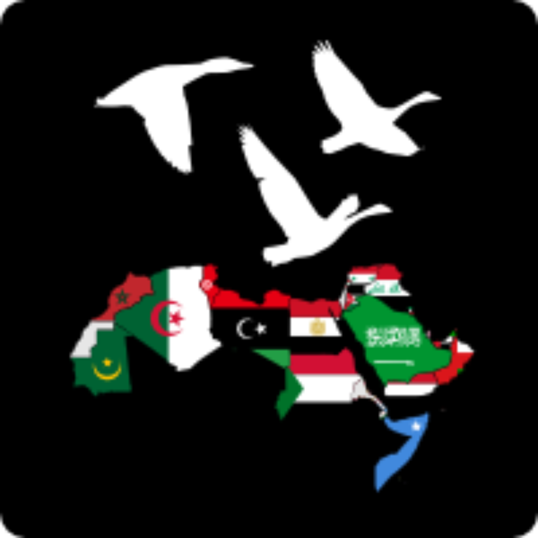Tarragona: Jornadas «De Palestina a Tahrir»