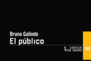 Mesa redonda en torno a la novela «El público» de Bruno Galindo