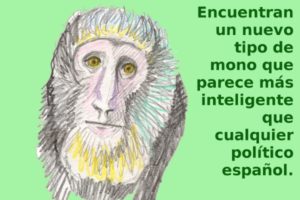 El mono inteligente