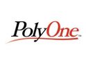 Despidos en Polyone, la historia de todos los días