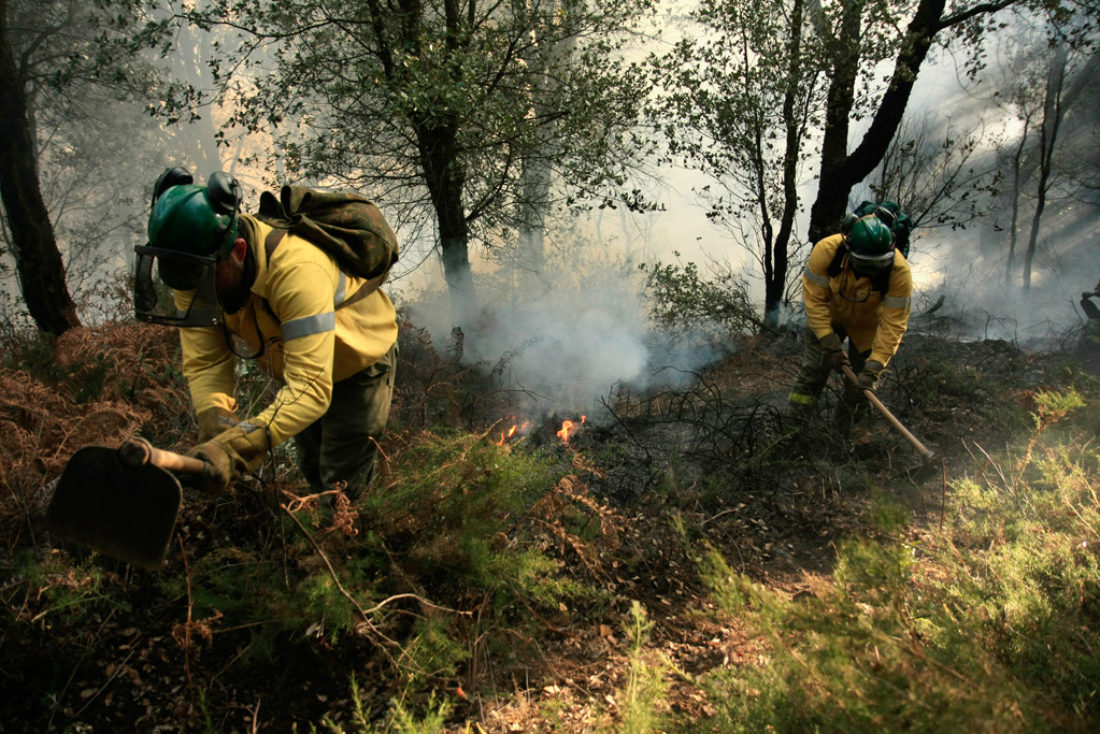 Los bomberos forestales de CGT se concentran el lunes 3 de febrero ante la Delegación del Gobierno de la Junta de Andalucía en Málaga (Alameda Principal)