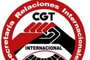 Privación Arbitraria de la Libertad y violación a garantías judiciales a Base de Apoyo del EZLN San Cristóbal de Las Casas,