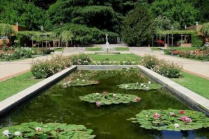 CGT denuncia los «arreglitos» del Ayuntamiento de Madrid en parques y jardines