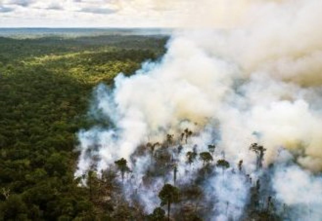 El corazón arde: el fin de semana será de manifestaciones en defensa de la Amazonia