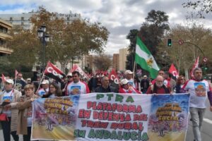Más de 3.000 personas han participado en Sevilla en la Marcha defendiendo el Tren Rural andaluz, tras las etapas realizadas desde el pasado 12 de octubre