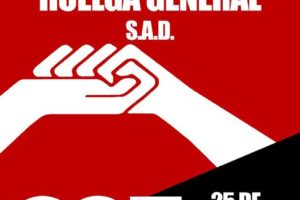 Continúa el proceso hacía la huelga del 25 de septiembre en el Servicio de Ayuda a Domicilio (SAD) en Andalucía