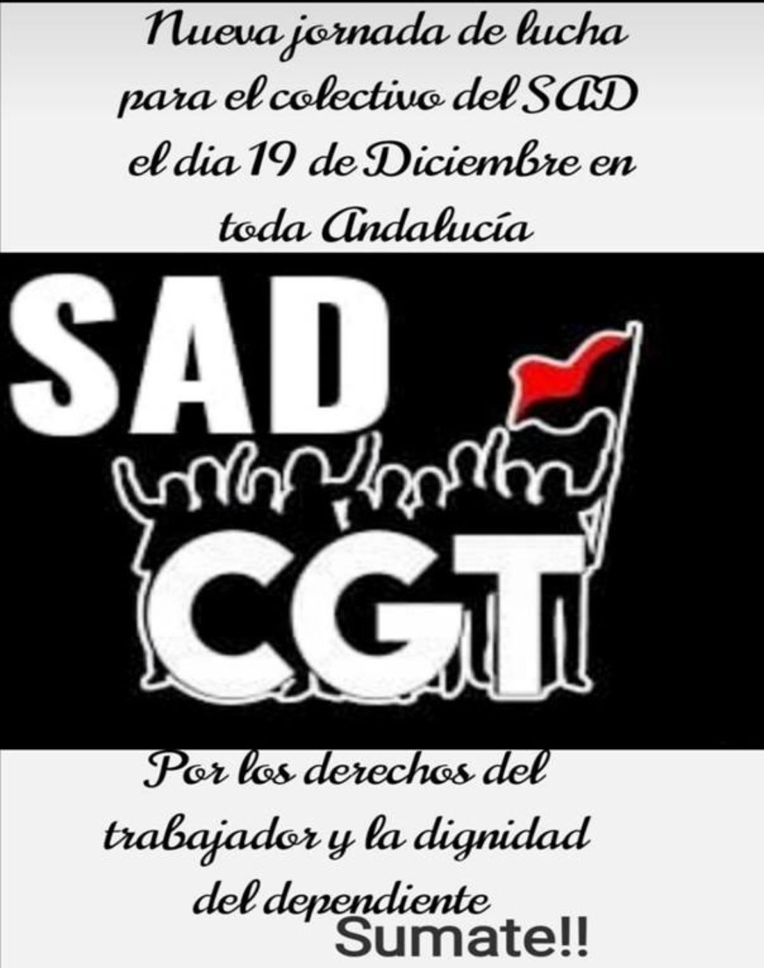 El Servicio de Ayuda a Domicilio en Andalucía vuelve a las plazas el 19 de diciembre