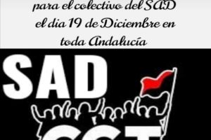 El Servicio de Ayuda a Domicilio en Andalucía vuelve a las plazas el 19 de diciembre