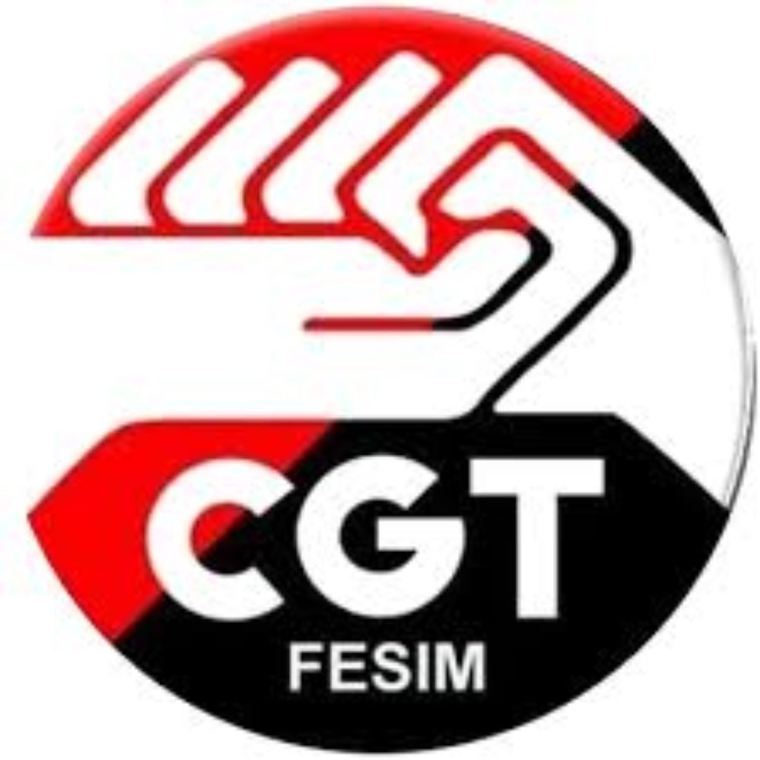Elegido el nuevo Secretariado Permanente de la Federación Metalúrgica de la CGT