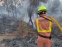 Los agentes medioambientales obligados a participar en la extinción de incendios forestales sin EPI ni formación
