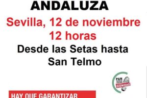 Manifestación andaluza en Sevilla para Garantizar el poder adquisitivo de salarios y pensiones. Por lo público y por lo común. Contra los despidos