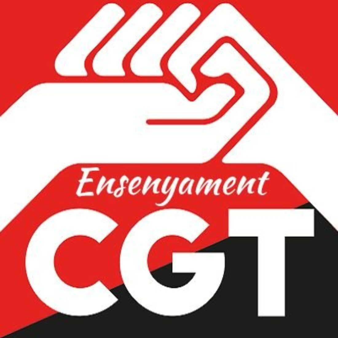 La CGT, prèvia consulta amb la seva afiliació, decideix convocar vaga els propers 25 i 26 de gener en defensa dels serveis públics