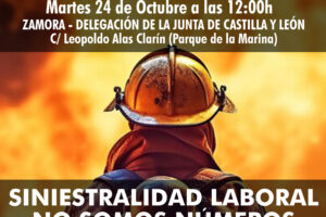 24-O: Campaña contra la Siniestralidad Laboral (Concentración en Zamora)