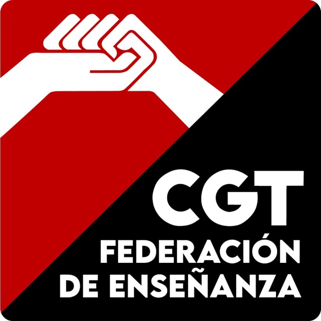 CGT denuncia que miles de docentes en abuso de temporalidad serán despedidos en España tras los procesos selectivos