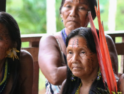 CGT exige el fin del hostigamiento a los pueblos originarios y comunidades indígenas de México