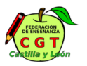 Ante las irregularidades del inicio de curso y los abusos contra el funcionariado interino la Federación de Enseñanza de CGT Castilla y León ha presentado un escrito en la Consejería de Educación denunciando la situación