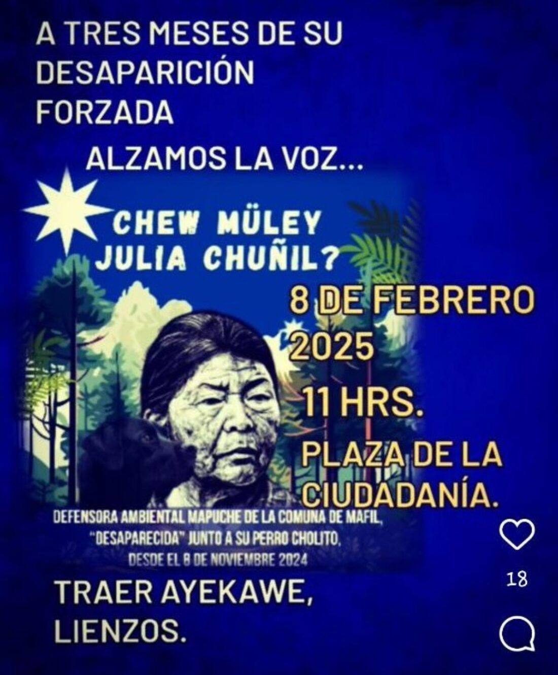 CGT continúa denunciando los ataques de multinacionales y gobernantes hacia el pueblo mapuche