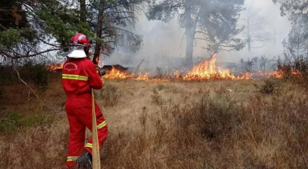 CGT Burgos denuncia el desmantelamiento de la red de vigilancia de incendios forestales por parte de la Junta de Castilla y León