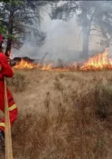 CGT Burgos denuncia el desmantelamiento de la red de vigilancia de incendios forestales por parte de la Junta de Castilla y León