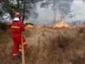 CGT Burgos denuncia el desmantelamiento de la red de vigilancia de incendios forestales por parte de la Junta de Castilla y León