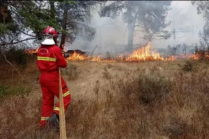 CGT Burgos denuncia el desmantelamiento de la red de vigilancia de incendios forestales por parte de la Junta de Castilla y León