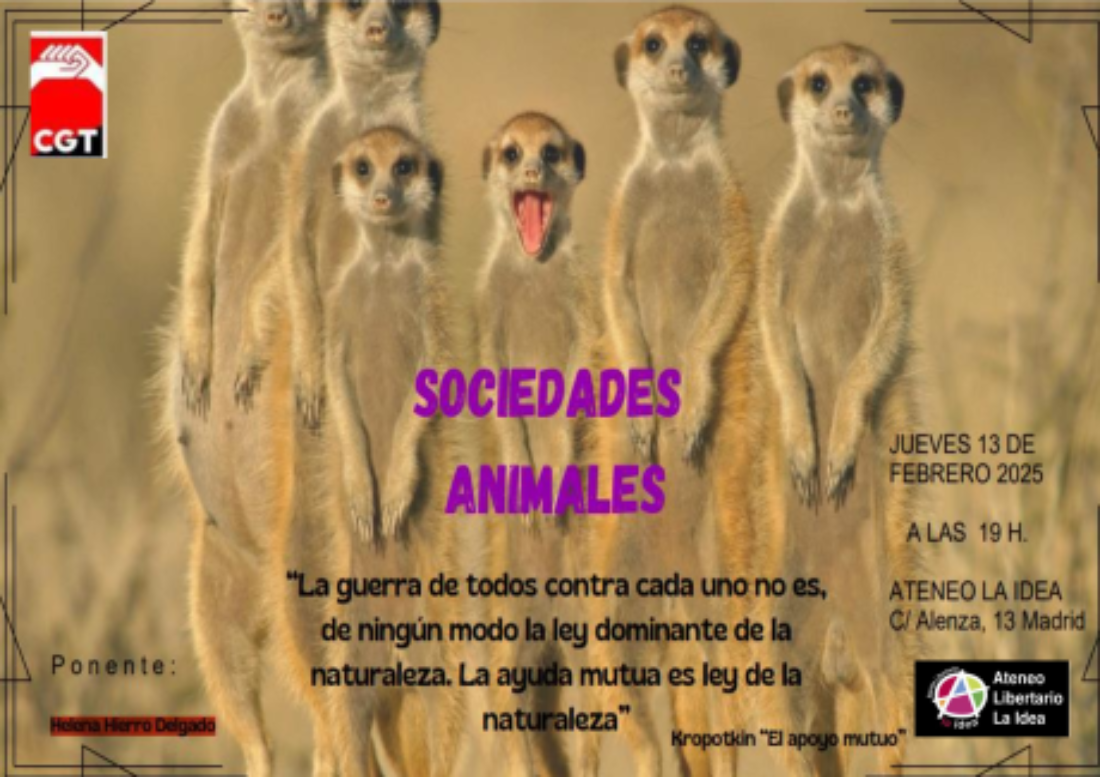 Charla/Debate sobre sociedades animales con Helena Hierro Salgado