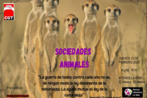 Charla/Debate sobre sociedades animales con Helena Hierro Salgado