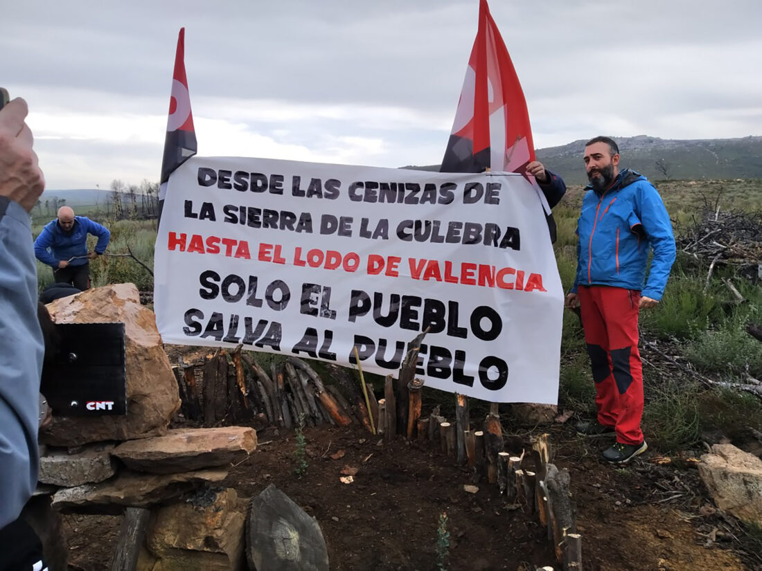 II Jornada de reforestación Sierra de la Culebra