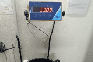 CGT Oficios Varios del Campo de Gibraltar denuncia la sobrecarga de trabajo que padecen las trabajadoras de limpieza del Hospital Quirón de Palmones
